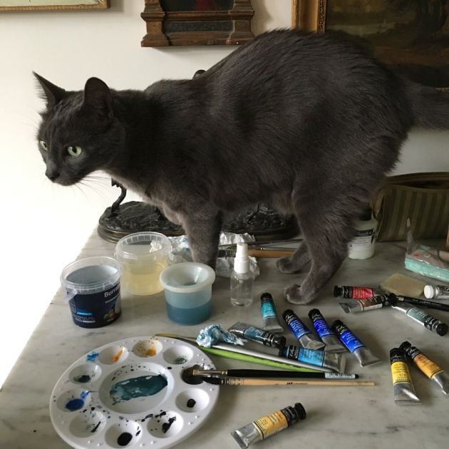 Gribouille gène un peu